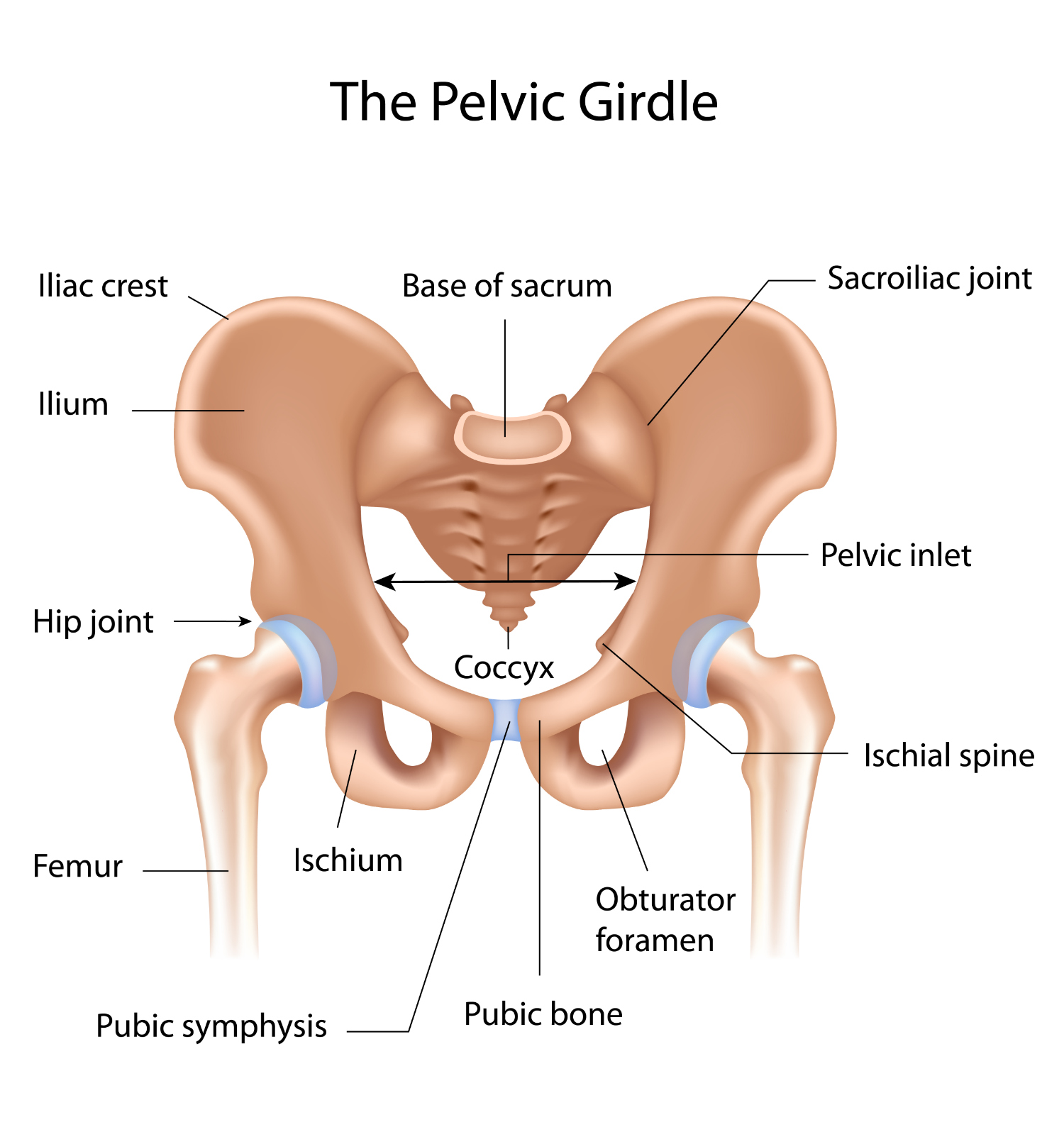 Pelvic Girdle Pain – Women's Health Dublin